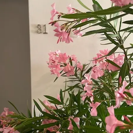 The White Soap Rooftop Skopje