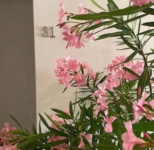 The White Soap Rooftop Skopje